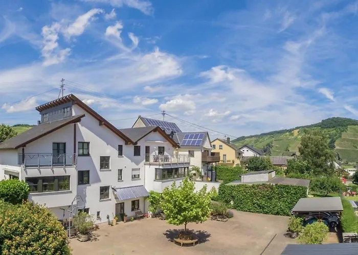 Weingut-destillerie Herbert Zisch 公寓